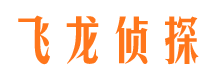 通川市侦探调查公司